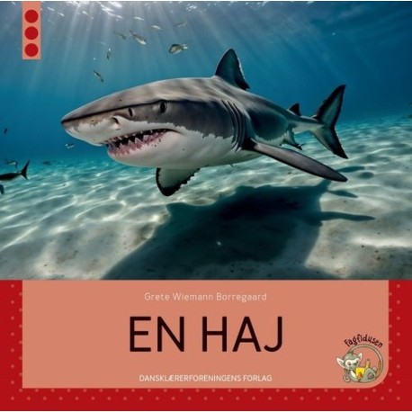 En haj: Fagfidusen. Niveau 3