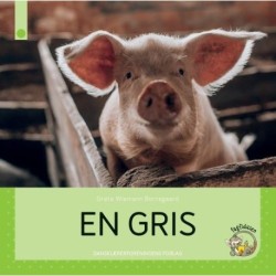 En gris: Fagfidusen. Niveau 1