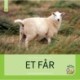 Et får: Fagfidusen. Niveau 1