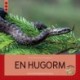 En hugorm: Fagfidusen. Niveau 3