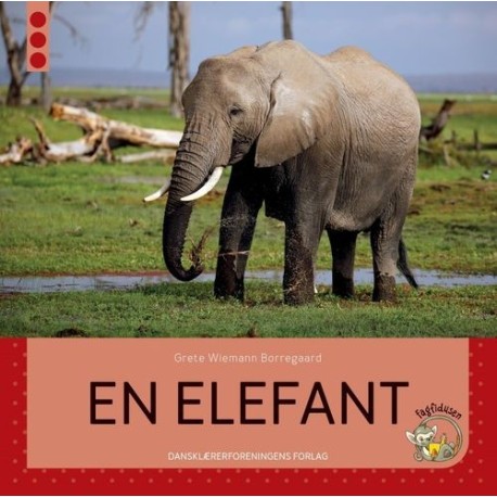 En elefant: Fagfidusen. Niveau 3