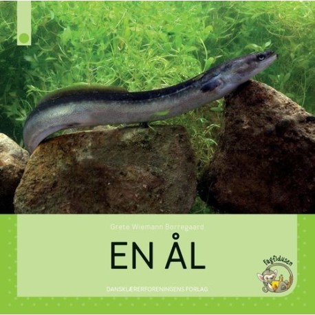 En ål: Fagfidusen. Niveau 1