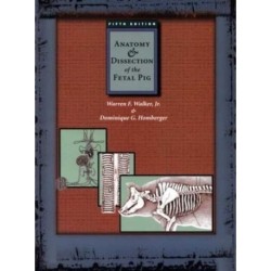 Anatomy and Dissection of the Fetal Pig