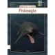 Fiskeøgle