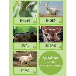 Fagfidusen. Niveau 1. Sampak B: 5x5 titler i grøn serie