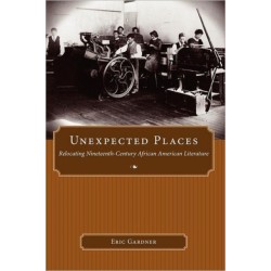 Unexpected Places: Relocating Nineteenth-Century African American Literature