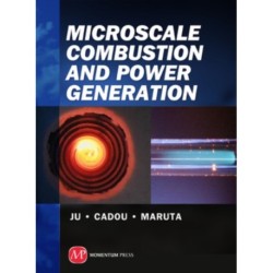 Microscale Combustion and Power Generation