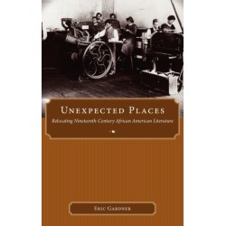 Unexpected Places: Relocating Nineteenth-Century African American Literature