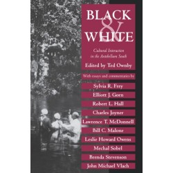 Black and White: Cultural Interaction in the Antebellum South