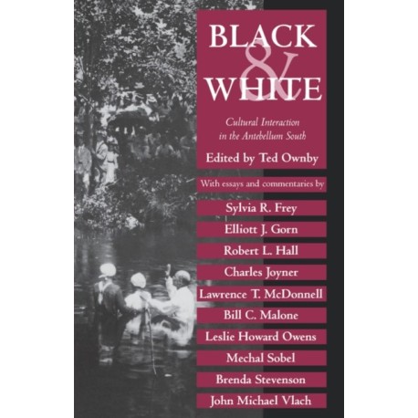 Black and White: Cultural Interaction in the Antebellum South