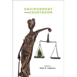 Environment in the Courtroom