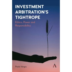 Investment Arbitration’s Tightrope: Ethics, Power and Responsibility