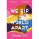 We Rip the World Apart: A sweeping story about motherhood, race and secrets