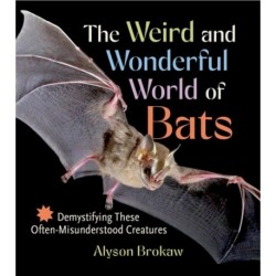 The Weird and Wonderful World of Bats: Demystifying These Often-Misunderstood Creatures