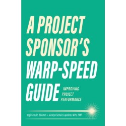 A Project Sponsor's Warp-Speed Guide: Improving Project Performance
