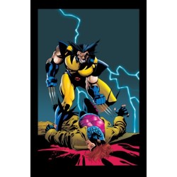 Wolverine/Gambit: Victims Gallery Edition