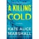 A Killing Cold: A Novel
