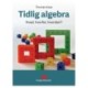 Tidlig Algebra: Hvad, hvorfor, hvordan