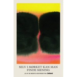 Selv i mørket kan man finde mening: 13 af de bedste historier fra Zetland