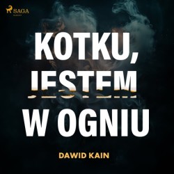 Kotku jestem w ogniu