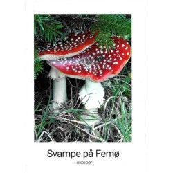 Svampe på Femø i oktober