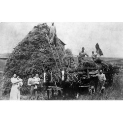 Mrs. Cook and the Klan: Booze, Bloodshed, and Bigotry in America's Heartland