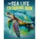 The Sea Life Colouring Book: Over 45 Images to Colour