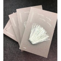 Vinge ved vinge: Nordens Allerbedste Pensumløse Poesi 2