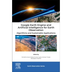 Google Earth Engine and Artificial Intelligence for Earth Observation: Algorithms and Sustainable Applications