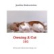 Owning A Cat 101: All you need to know about cats and owning one