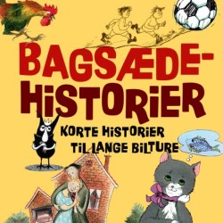 Bagsædehistorier: Korte historier til lange bilture