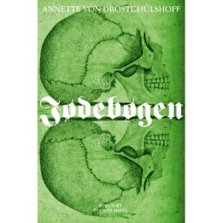 Jødebøgen: En sædeskildring fra det bjergrige Westfalen