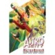 Astro City Metrobook Volume 6