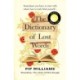 The Dictionary of Lost Words