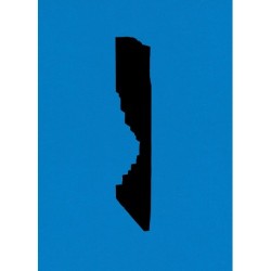 The Drafty House: The Beginnings of a Fourth Typology