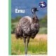 Emu, Grøn Fagklub