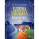 Sudbina vilenjaka 2: Kameno srce