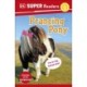 DK Super Readers Level 2 Prancing Pony: Animals with Attitude