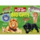 Big Cats