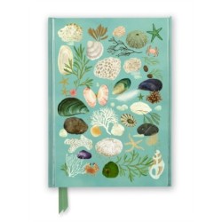 Katherine Quinn: Beachcombing (Foiled Journal)