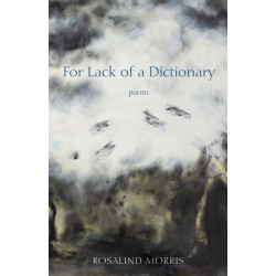 For Lack of a Dictionary