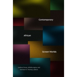 Contemporary African Screen Worlds