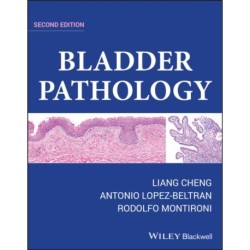 Bladder Pathology