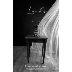 Larks: Poems