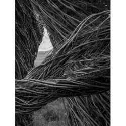 Patrick Dougherty | James Florio: Sticks