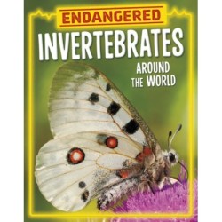 Endangered Invertebrates Around the World