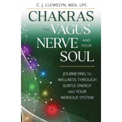 Chakras, the Vagus Nerve, and Your Soul: Journeying to Wellness Through Subtle Energy and Your Nervous System