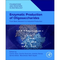 Enzymatic Production of Oligosaccharides: From Basic Research to Industrial Production