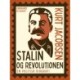 Stalin og revolutionen: En politisk biografi