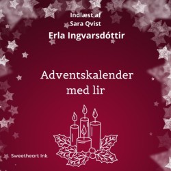 Adventskalender med lir